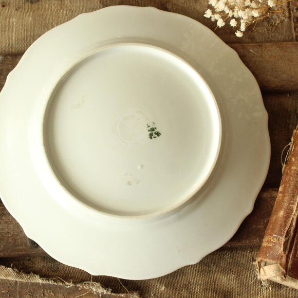 Vintage Antique 1800s 1900s Plate, CT Carl Tielsch Austria Pink and Brown Rose - Picture 7 of 10